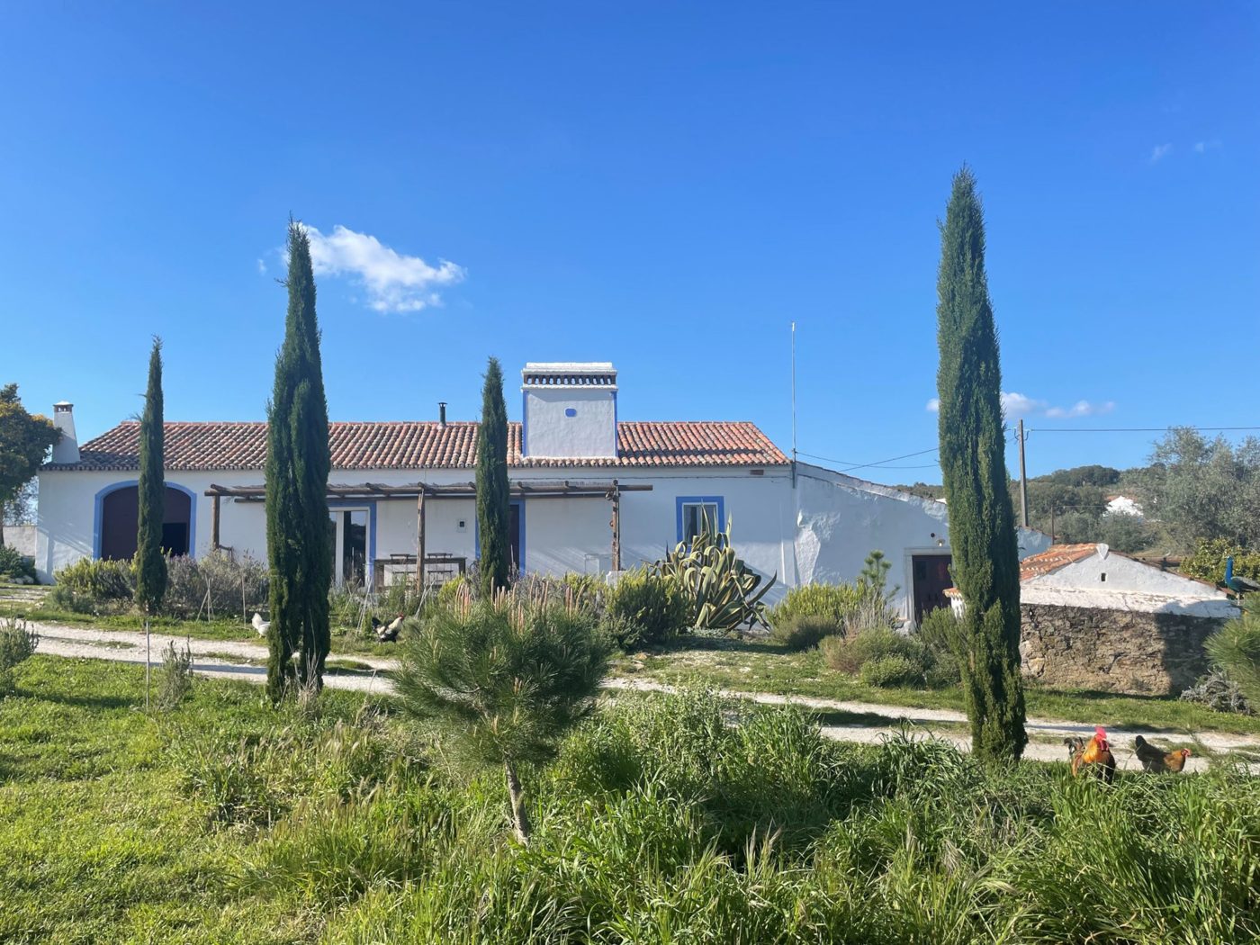 Monte do Ceitil