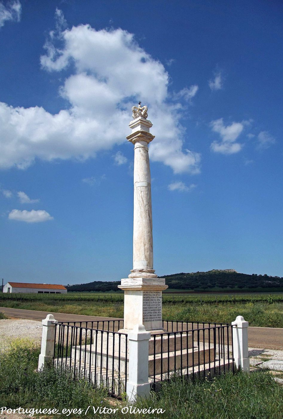 Foto: Vitor Oliveira from Torres Vedras, PORTUGAL / Wikimedia Commons (CC BY-SA 2.0)