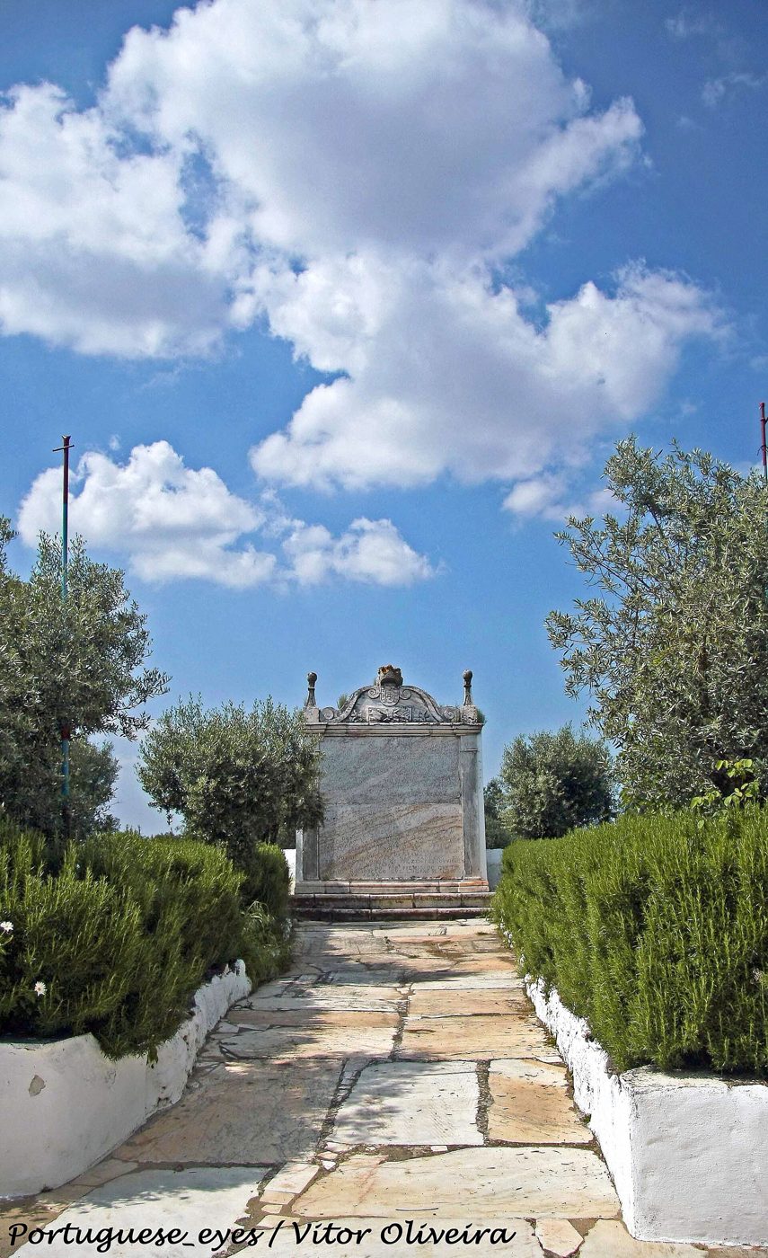 Foto: Vitor Oliveira from Torres Vedras, PORTUGAL / Wikimedia Commons (CC BY-SA 2.0)