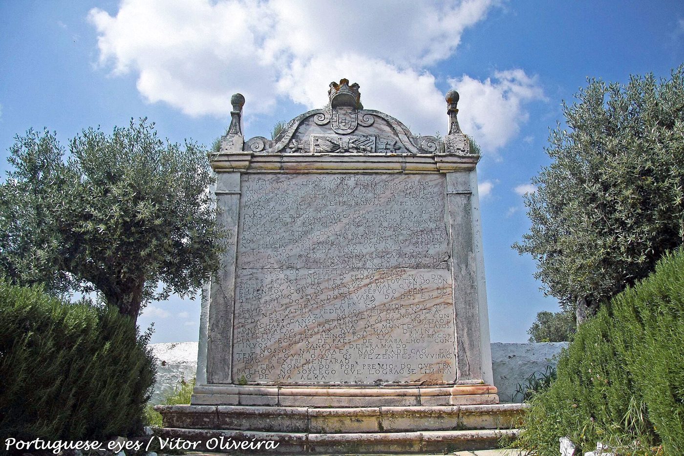 Foto: Vitor Oliveira from Torres Vedras, PORTUGAL / Wikimedia Commons (CC BY-SA 2.0)